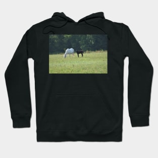 Wild Horse and Foal Hoodie